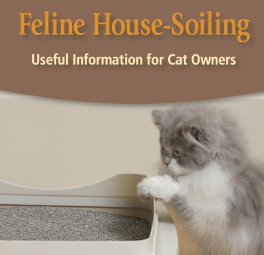 house-soiling-cats